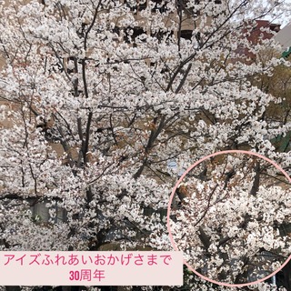 49148F6B-FB96-4A53-B2F5-E72AD78B8F08.jpeg